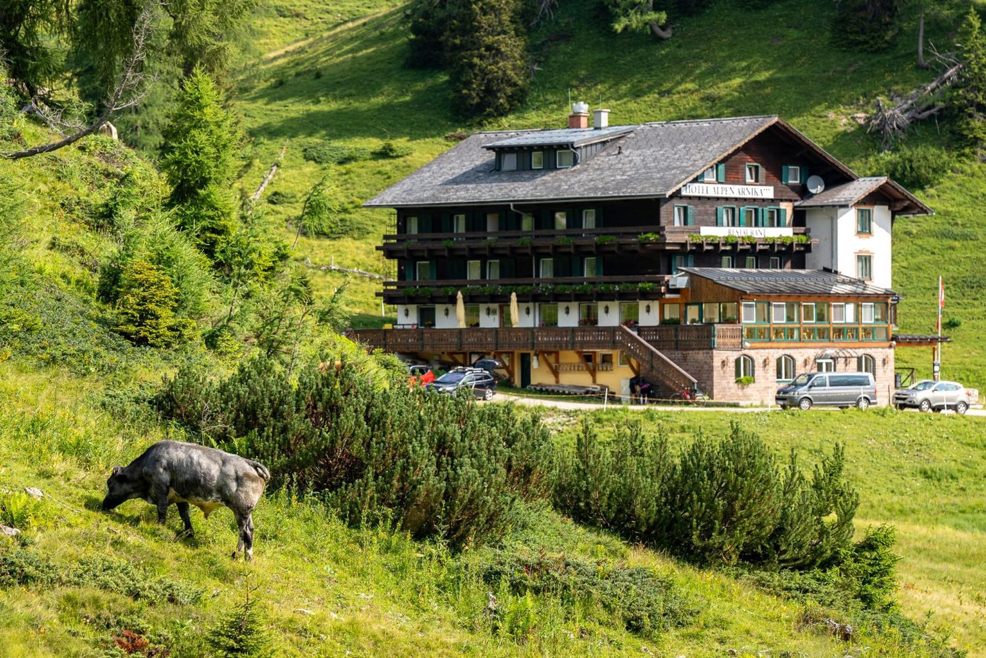 Hotel Alpen Arnika Tauplitzalm Exteriör bild